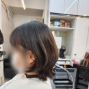 하이단비 이미지