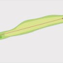 골드리버cc 이미지