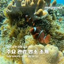 마전역 입구 교통섬 | 세부 남부 여행 일정 추천 오슬롭 투말록 폭포 수밀론 섬 비용 정보 정리