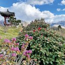 정원태권도 이미지