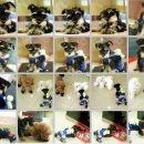 제이미니호텔 이미지