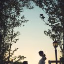 세븐7데이즈 이미지