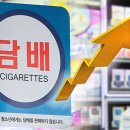 지난해 국내 담배 판매량 4.1%↑…“면세담배 줄어든 영향” 이미지