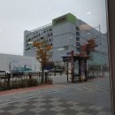 김포 이마트 트레이더스 버거킹 와퍼 1+1행사 내돈내산후기