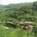 고동산민박 이미지