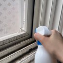 영구축산 | 화장실 바퀴벌레 없애는법 진짜 이거 하나로 박멸함