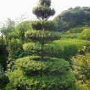그림조경