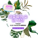 식물마켓