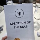 씨즈마케팅 | 2026 인천항 로열 캐리비안 쉽투어 후기｜크루즈 내부시설 직접 보고 온 생생한 체험기 1편