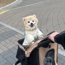 이마트24 진주경상대점 | 경남 진주시 경상대놀거리 추천 AI 스티커사진 스티커즈 경상대점 다녀온후기