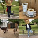 돼지사가소 | 5월 경주여행 황리단길, 경주 얼굴빵, 조랑말 카페 후프후프, 낙곱새