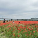 영강체육공원길 이미지