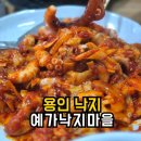 용구대로2469번길 | 10년째 먹고 있는 예가낙지마을 본점 보정동 맛집 내돈내산 후기