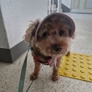 본마트(영등점) | 슬픔이의 8월 일상(2)