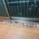 진량치과의원 이미지