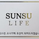 순수상조 이미지