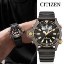 시티즌랜드 이미지