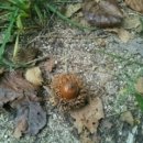 주왕산팬션민박 이미지