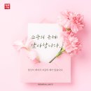 수학의꽃수학교습소 - 사하구 장평로299번길 6 | [의정부민락동수학 ]스승의 날, 아이를 대신 깨워주는 사람이 아니라 ‘스스로 깨고 나오게 돕는 사람...