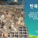 굴축제 이미지