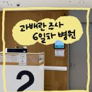 에프엠푸드 | 임신준비 #8. 시험관 1차 과배란주사 6일차 후기 /난포갯수/ 퓨레곤 IVF-M 아인병원