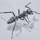 상상력미술 이미지