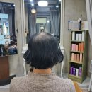 위그살롱