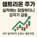 (주)셀트리온제약 | 셀트리온 주가 급등 이유: 릴리 공장 인수와 투자자 심리