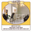 바디스케치 이미지