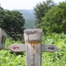 금계농로 이미지