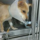 서경석동물병원 이미지