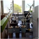 거진고등학교 이미지