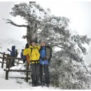 제180차 갑오년 첫 정기산행 덕유산(향적봉1,614m) 이미지