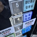 꿈을담은고로케 | One More Time November 😵