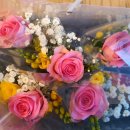 박희정농장 이미지