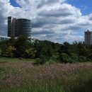 광양커뮤니티센터 이미지