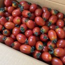 인숙농장 이미지