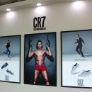 씨알인터내셔널 이미지