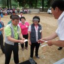 부남초등학교 이미지