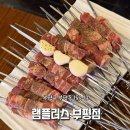 인천 부평 양꼬치 맛집 램플러스 부평점 후기!
