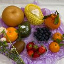 주정차-54 | 초이무드플라워x라이프 과일꽃케이크 픽업 후기 - 통과일에 당도 좋은 생일케이크