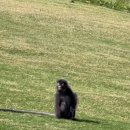 와우노래연습장 | 앵그리 모드 발동 1월