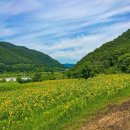 검산농장 이미지