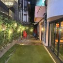 합정전 | 합정역 술집 만월당 후기 (치즈감자전에 꿀막걸리 조합)