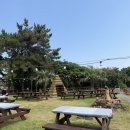 [제주] 제주도 한림 에코그린리조트 에코동 내돈내산 후기 💭