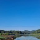 고복자연공원 갈대습지원 이미지