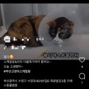 더에스동물병원 이미지