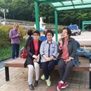 노적봉농장 이미지