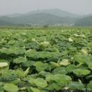 샛말.대우.참이슬아파트 이미지