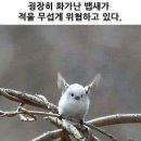 명도 | 경매명도후기 2탄 (이사비협상)